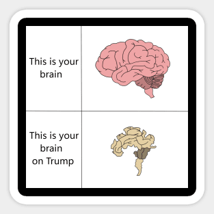 This is your brain on Trump Sticker